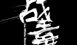 毒战电视剧,生死较量，正义之战